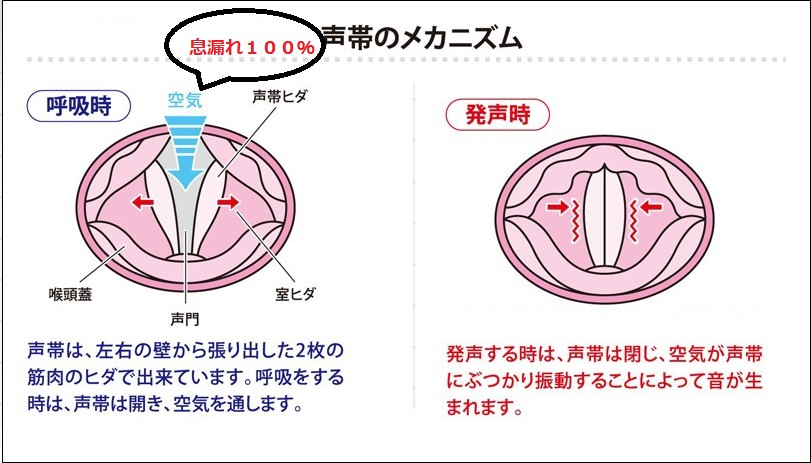 ファッショントレンド 最新ウィスパー ボイス 歌手 女性